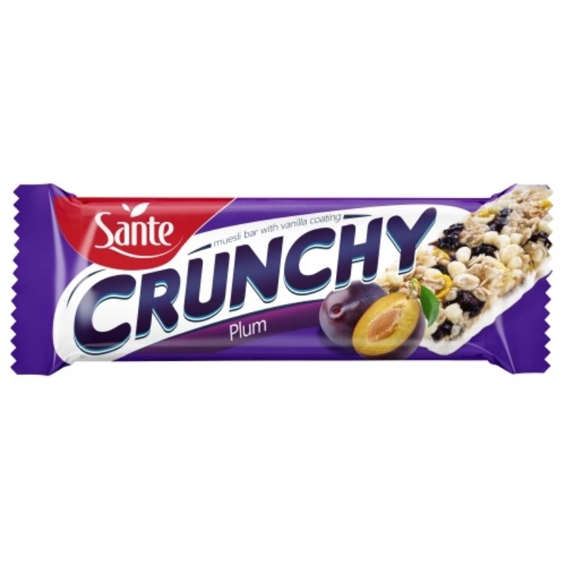 Sante Philippines crunchy granola bar plum granola oat bar energy bars on the go energy healthy breakfast oat
